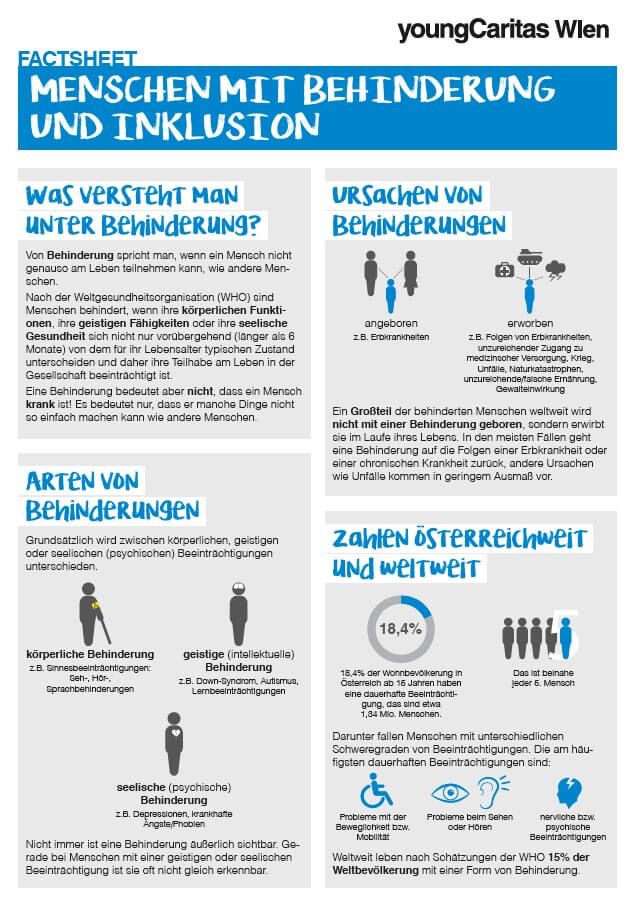 Infografik über Menschen mit Behinderung, Arten, Ursachen und Statistiken zur Inklusion in Österreich und weltweit.